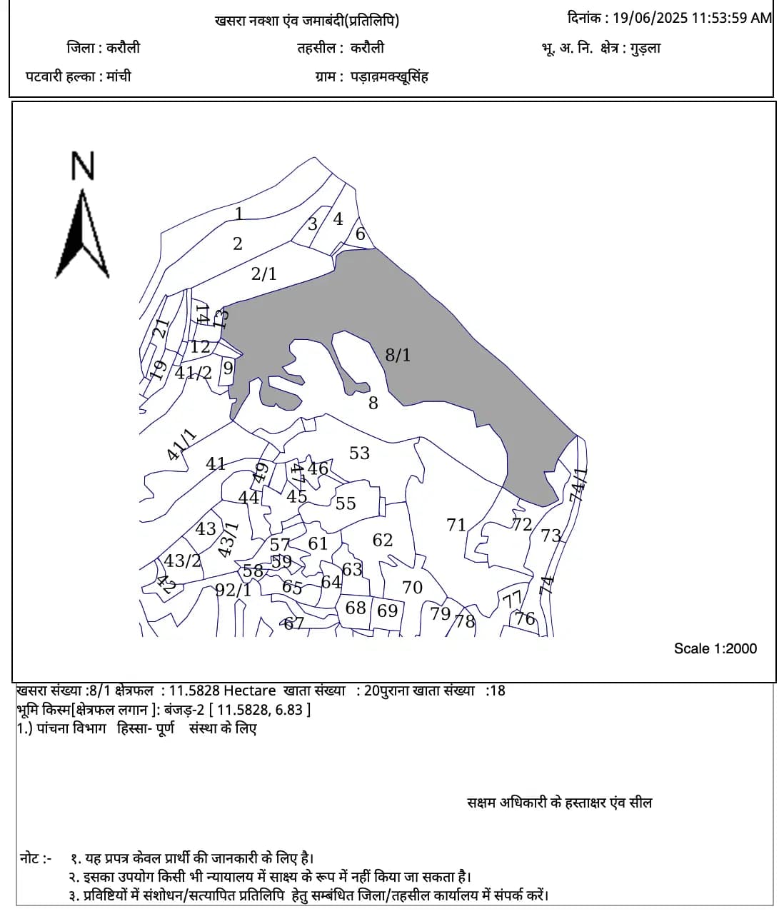 BhuNaksha Map sample — Rajasthan